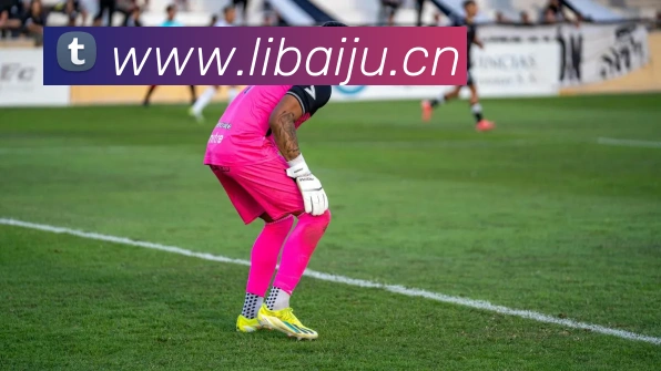 欧宝在线官网服务体系